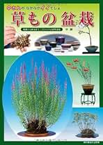 Amazon.co.jp: 趣味の山野草 - 雑誌: 本